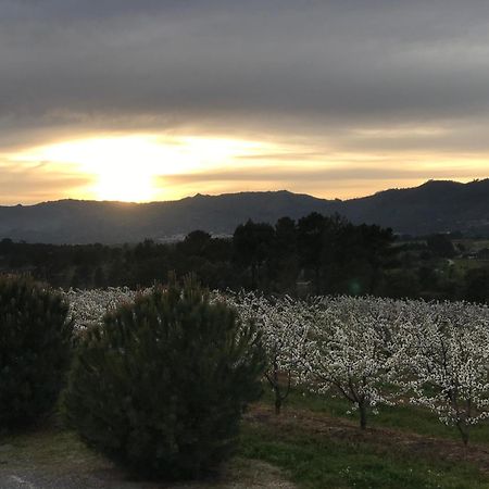 Quinta Da Porta - Solar De Vale De Prazeres Βίλα Εξωτερικό φωτογραφία