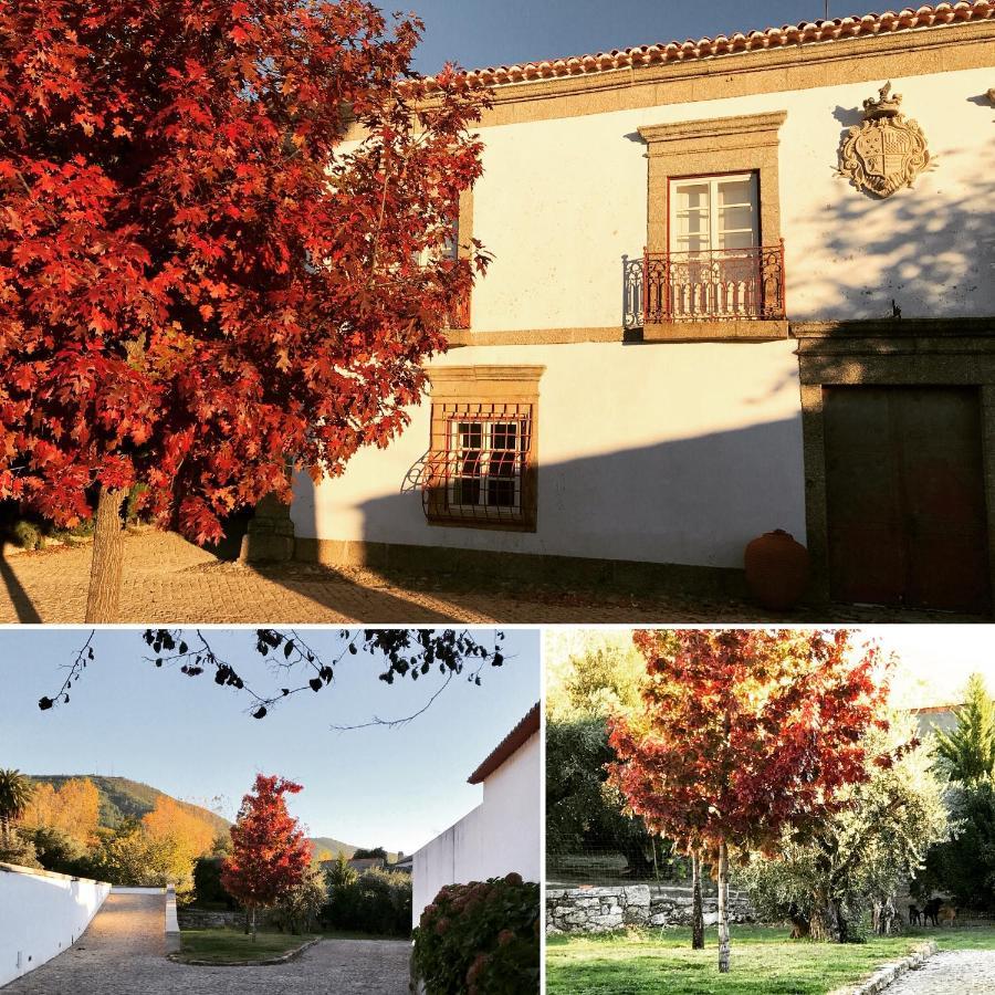 Quinta Da Porta - Solar De Vale De Prazeres Βίλα Εξωτερικό φωτογραφία