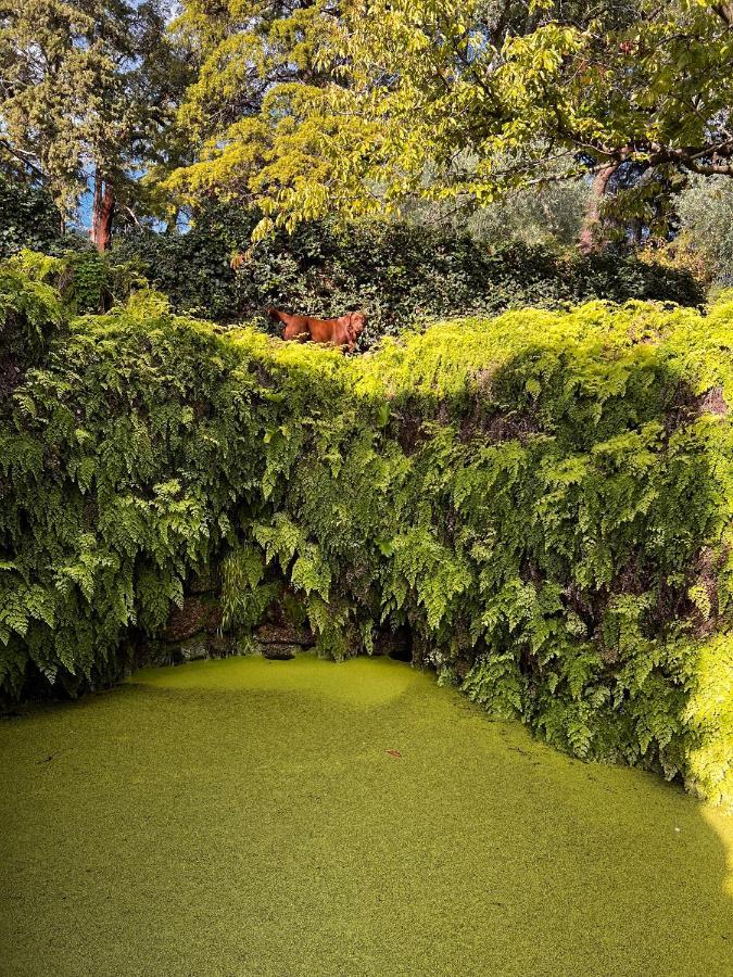 Quinta Da Porta - Solar De Vale De Prazeres Βίλα Εξωτερικό φωτογραφία