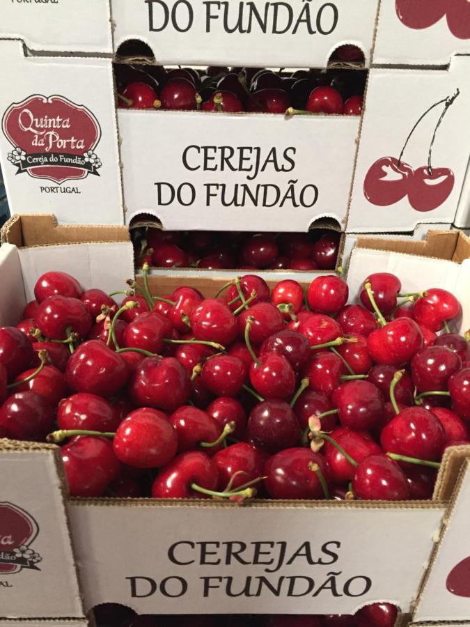 Quinta Da Porta - Solar De Vale De Prazeres Βίλα Εξωτερικό φωτογραφία