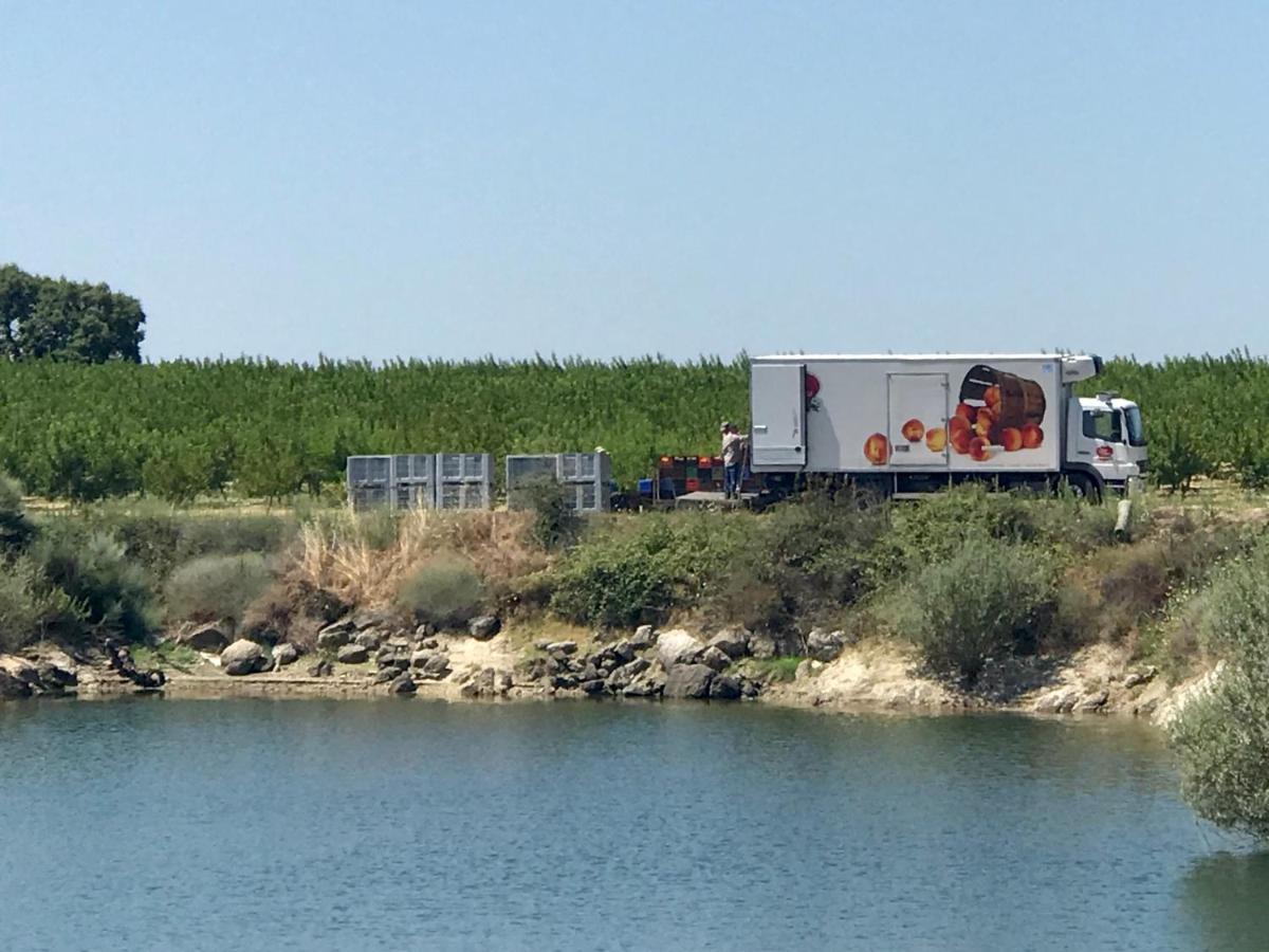 Quinta Da Porta - Solar De Vale De Prazeres Βίλα Εξωτερικό φωτογραφία