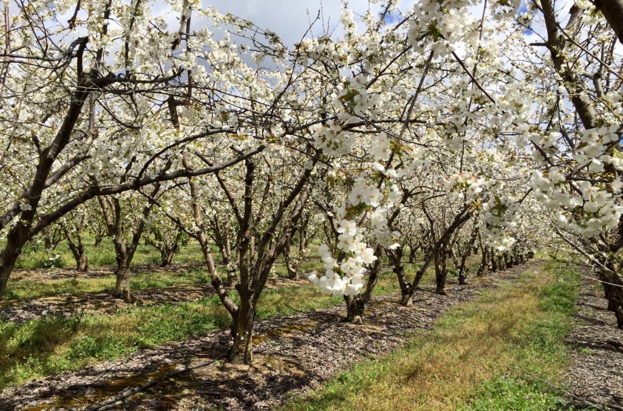 Quinta Da Porta - Solar De Vale De Prazeres Βίλα Εξωτερικό φωτογραφία
