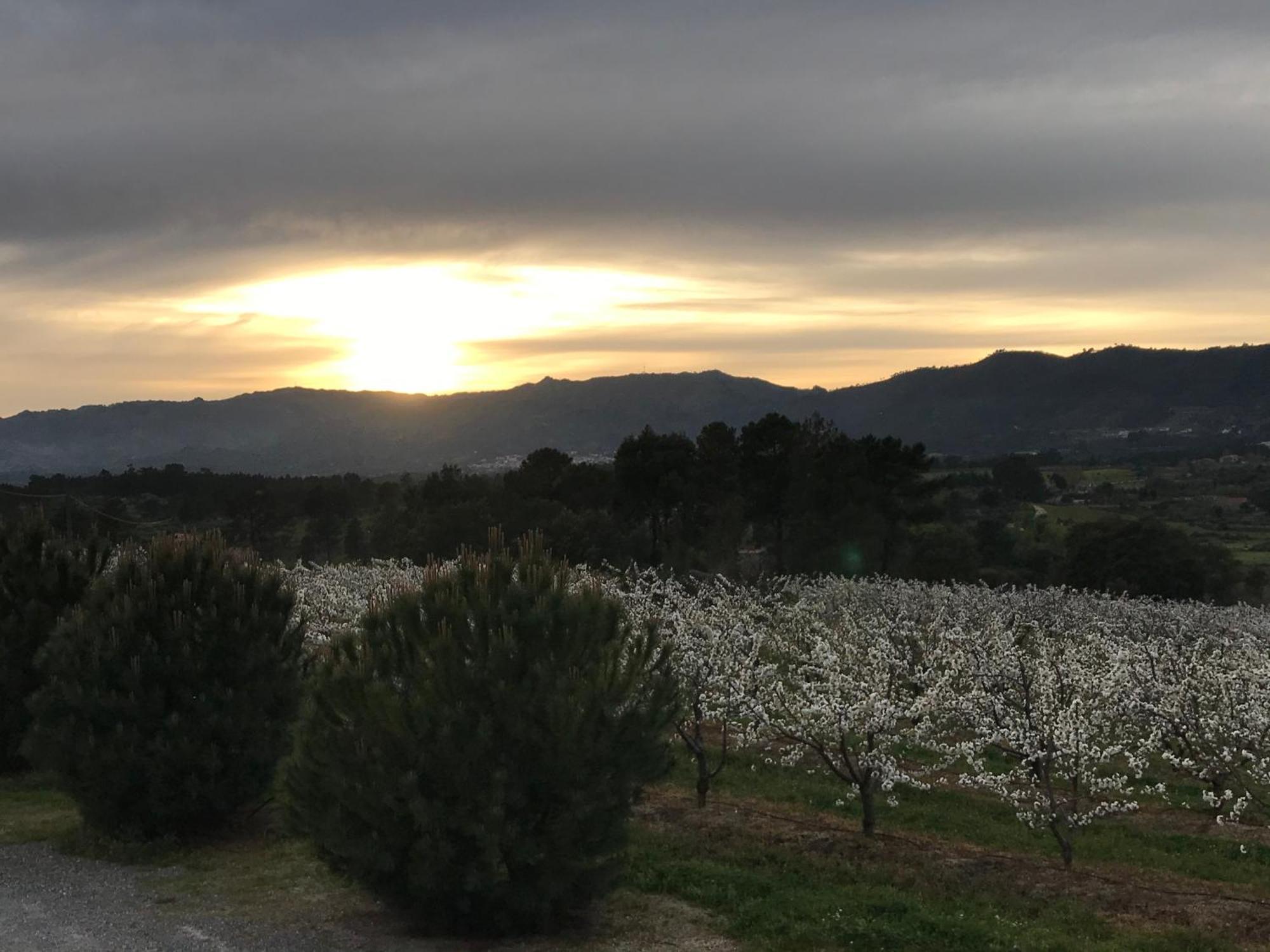Quinta Da Porta - Solar De Vale De Prazeres Βίλα Εξωτερικό φωτογραφία