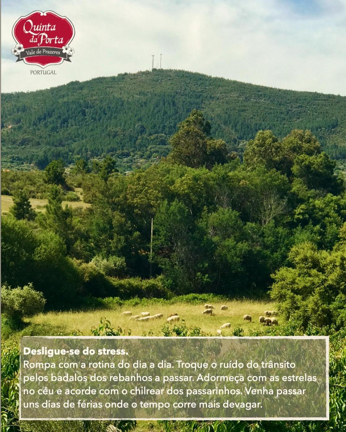 Quinta Da Porta - Solar De Vale De Prazeres Βίλα Εξωτερικό φωτογραφία